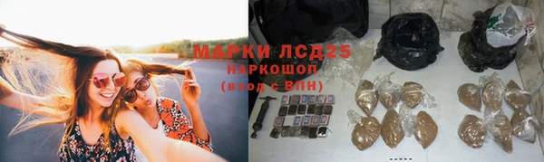 спиды Алексин